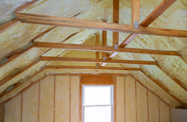 Best Eco-Friendly Insulation in Trempealeau, WI