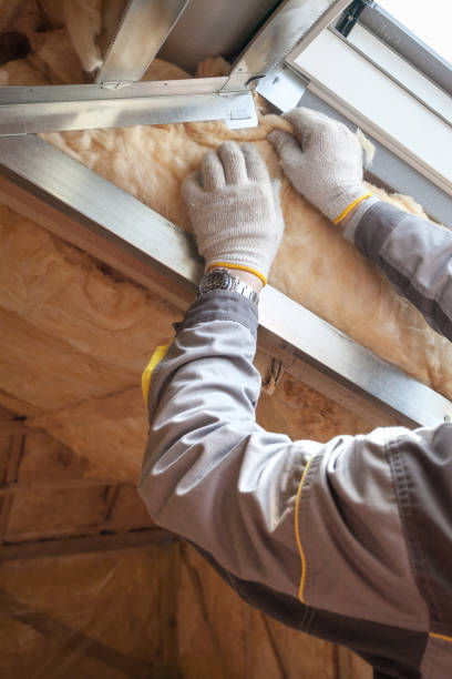 Best Cellulose Insulation in Trempealeau, WI