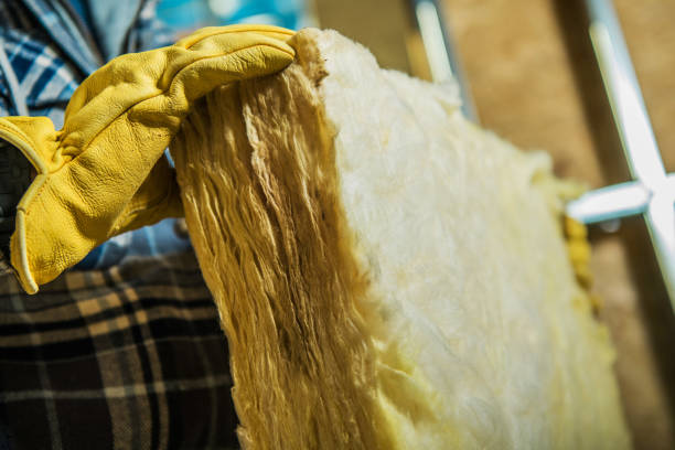Types of Insulation We Offer in Trempealeau, WI